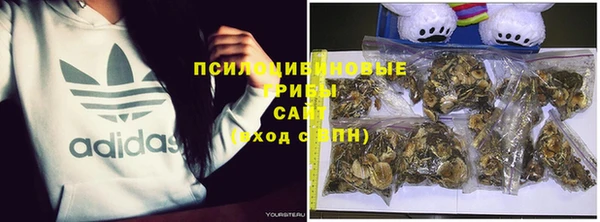 MESCALINE Богородицк