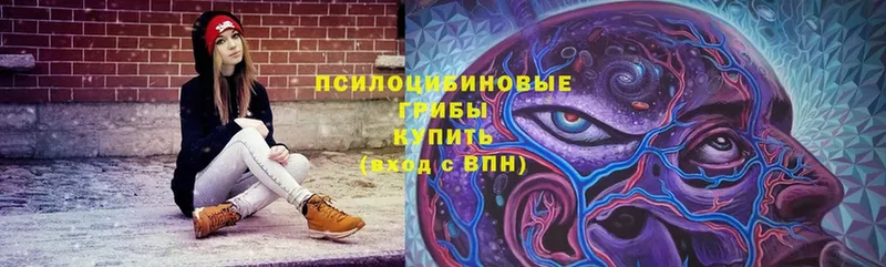 где можно купить   Владимир  Галлюциногенные грибы Magic Shrooms 